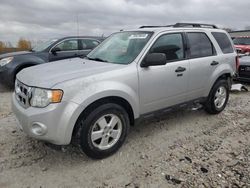 Ford Vehiculos salvage en venta: 2011 Ford Escape XLT