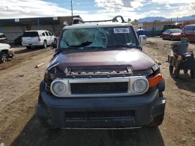 2007 Toyota FJ Cruiser