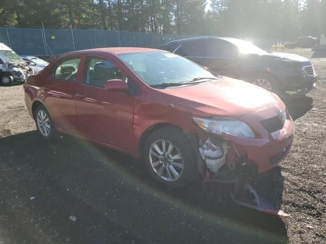 2010 Toyota Corolla Base