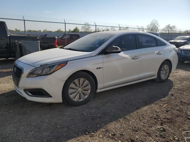 2016 Hyundai Sonata Hybrid