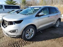 Salvage cars for sale at Davison, MI auction: 2016 Ford Edge SEL