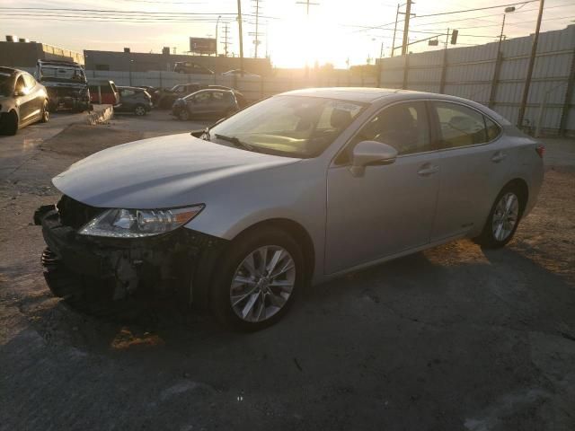 2014 Lexus ES 300H