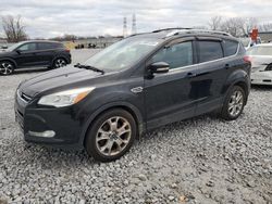 Ford Vehiculos salvage en venta: 2015 Ford Escape Titanium