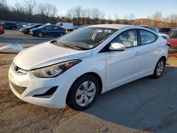 Salvage cars for sale at Marlboro, NY auction: 2016 Hyundai Elantra SE