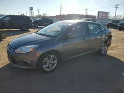 Ford Vehiculos salvage en venta: 2013 Ford Focus SE