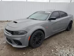 Salvage cars for sale at Louisville, KY auction: 2023 Dodge Charger Scat Pack