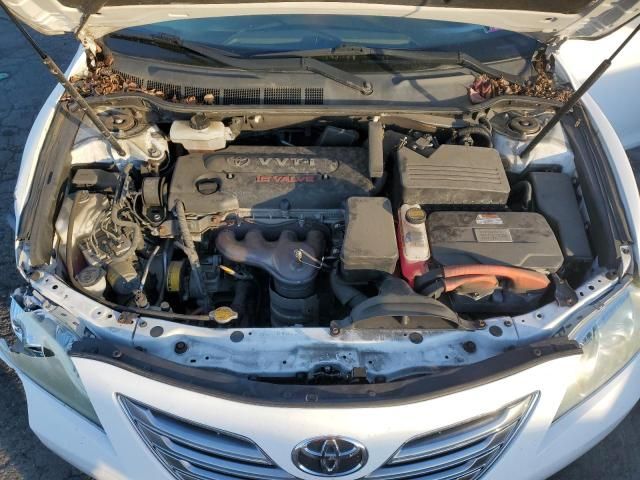 2009 Toyota Camry Hybrid