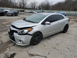 KIA Forte Vehiculos salvage en venta: 2016 KIA Forte EX