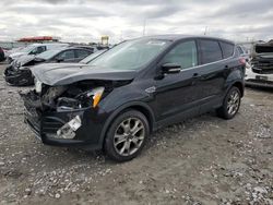 Ford Escape salvage cars for sale: 2013 Ford Escape SEL