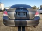 2010 Honda Accord LXP