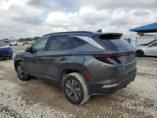 2023 Hyundai Tucson Blue