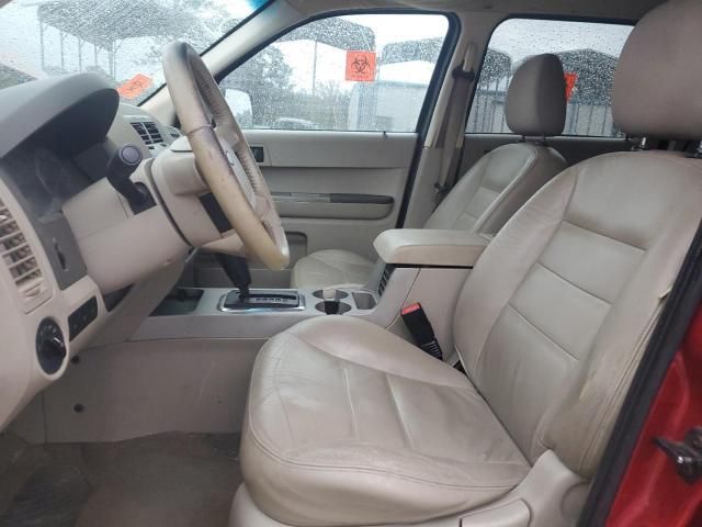 2008 Ford Escape XLT