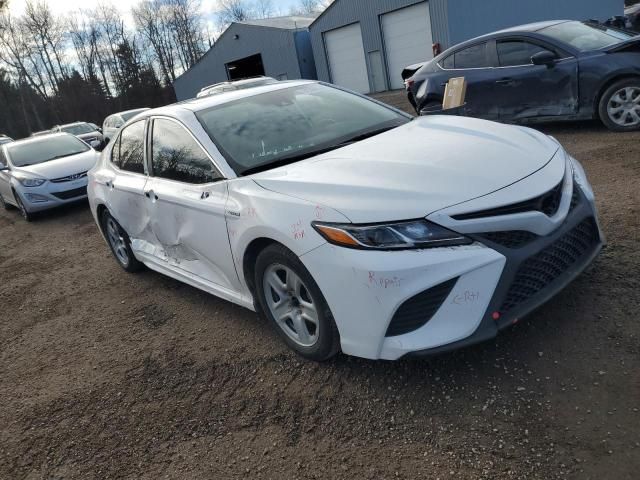 2019 Toyota Camry Hybrid