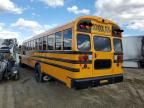 2023 Blue Bird School Bus / Transit Bus