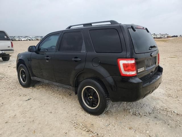 2011 Ford Escape XLT