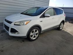 Ford Vehiculos salvage en venta: 2013 Ford Escape SE