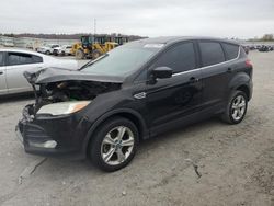 Salvage SUVs for sale at auction: 2013 Ford Escape SE