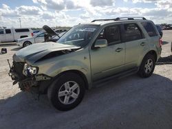 Ford Escape Vehiculos salvage en venta: 2008 Ford Escape HEV