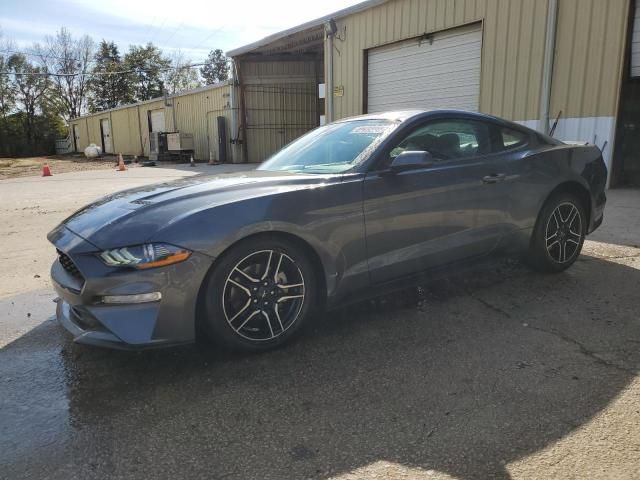 2023 Ford Mustang