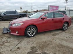 Salvage cars for sale at Chicago Heights, IL auction: 2014 Lexus ES 300H