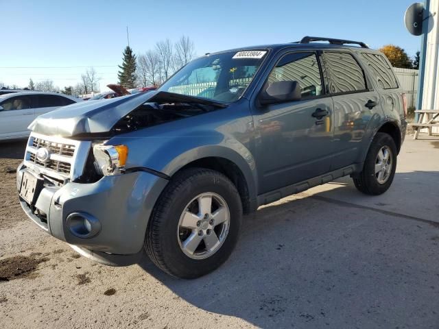 2011 Ford Escape XLT