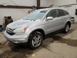 Salvage cars for sale at Nisku, AB auction: 2010 Honda CR-V EX