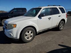 Ford Escape Vehiculos salvage en venta: 2011 Ford Escape XLT