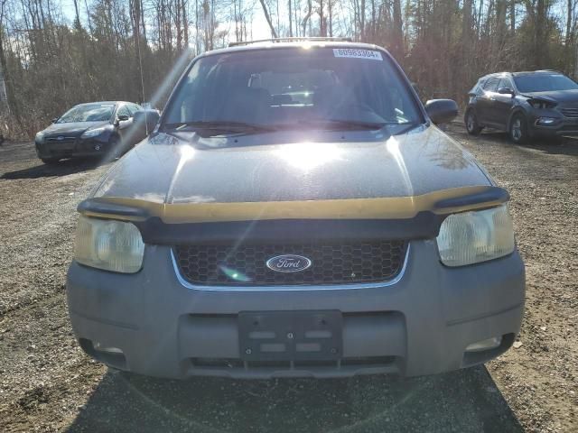 2001 Ford Escape XLT