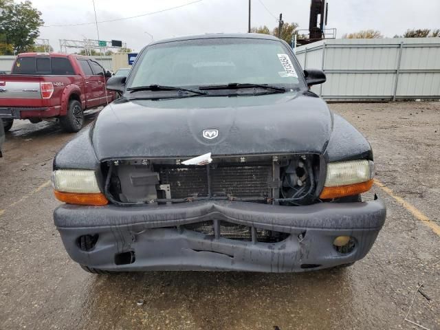 2004 Dodge Dakota Quad Sport