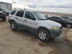 2005 Ford Escape XLT