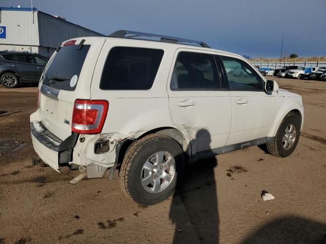 2010 Ford Escape Limited