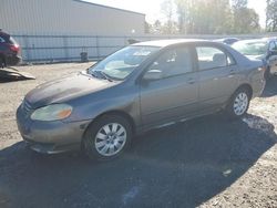 Toyota salvage cars for sale: 2003 Toyota Corolla CE