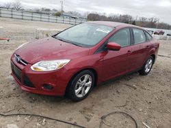 Salvage cars for sale at Louisville, KY auction: 2014 Ford Focus SE