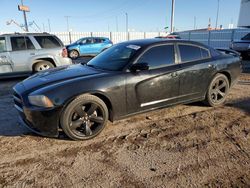 Dodge salvage cars for sale: 2013 Dodge Charger R/T