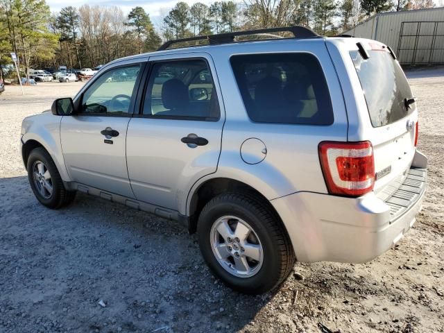 2011 Ford Escape XLT