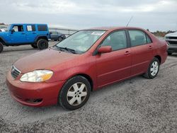 Toyota Vehiculos salvage en venta: 2005 Toyota Corolla CE