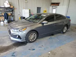 2019 Hyundai Sonata SE en venta en New Orleans, LA