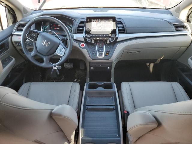 2019 Honda Odyssey EXL