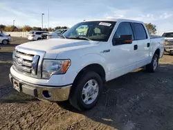 Ford Vehiculos salvage en venta: 2011 Ford F150 Supercrew