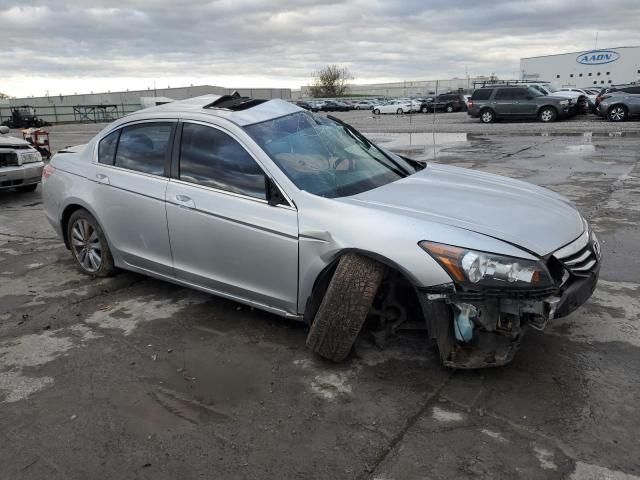 2011 Honda Accord EXL