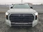 2024 Toyota Tundra Crewmax Platinum