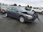 2009 Toyota Camry Hybrid