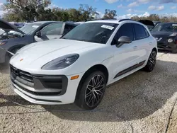 Salvage cars for sale at Arcadia, FL auction: 2023 Porsche Macan Base