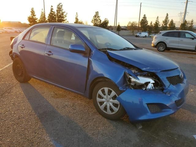 2010 Toyota Corolla Base