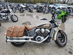 Indian Motorcycle Co. salvage cars for sale: 2019 Indian Motorcycle Co. Scout ABS