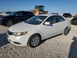 Salvage cars for sale at Taylor, TX auction: 2012 KIA Forte EX