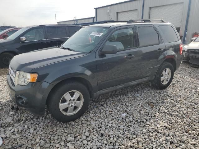 2009 Ford Escape XLT