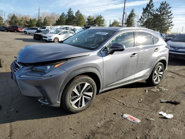 2019 Lexus NX 300H