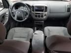 2003 Ford Escape XLT