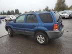 2007 Ford Escape XLT